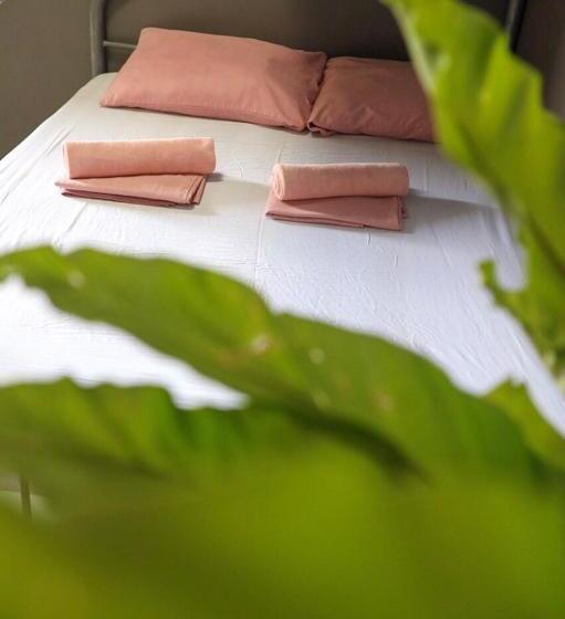 اتاق خانوادگی, Hostel Privado