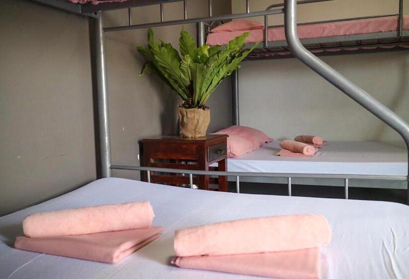 اتاق خانوادگی, Hostel Privado