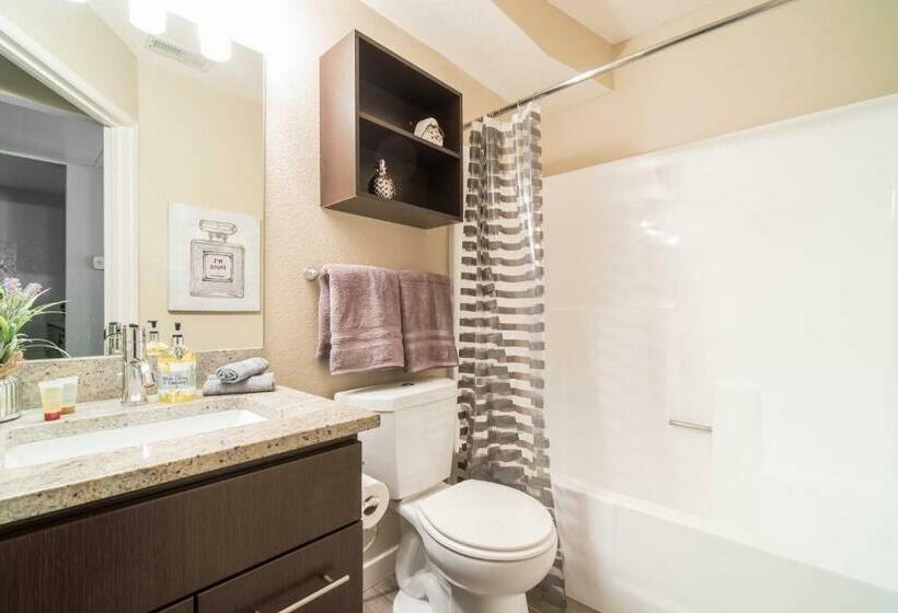 דירת חדר, Integrity Real Hollywood Experience