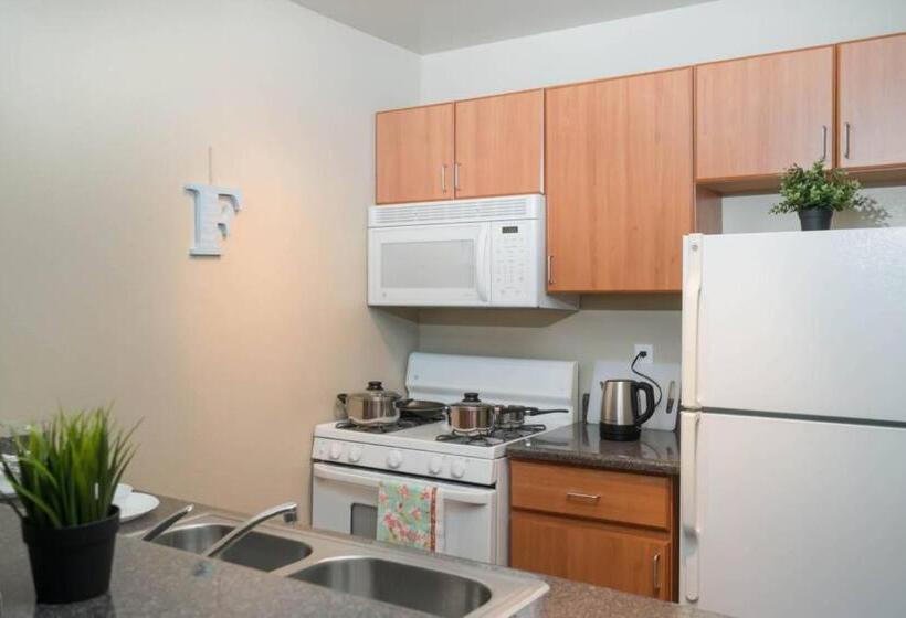 דירת חדר, Integrity Real Hollywood Experience