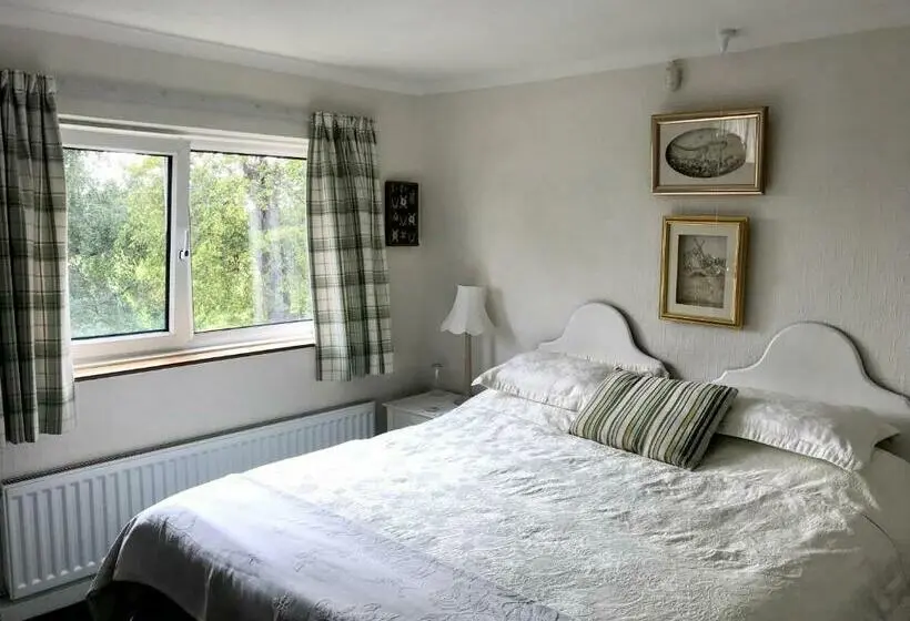 キングサイズベッドのスーペリアルーム, Holly House B&b
