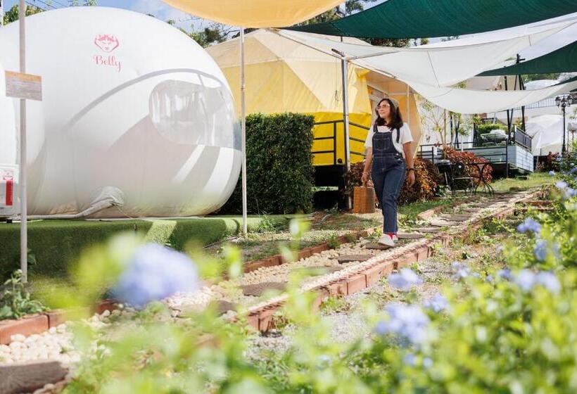 بنجلو قياسى مطلّ علي الحديقة, Ozone By บ้านเขาค้อ