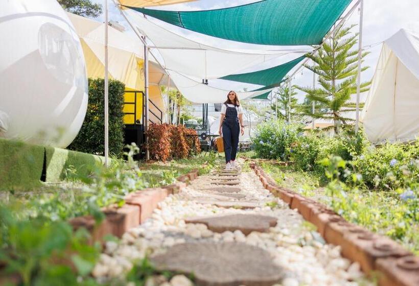 بنجلو ديلوكس, Ozone By บ้านเขาค้อ