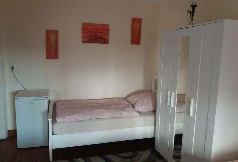 Standart Oda, Pensionszimmer Lützowzimmer