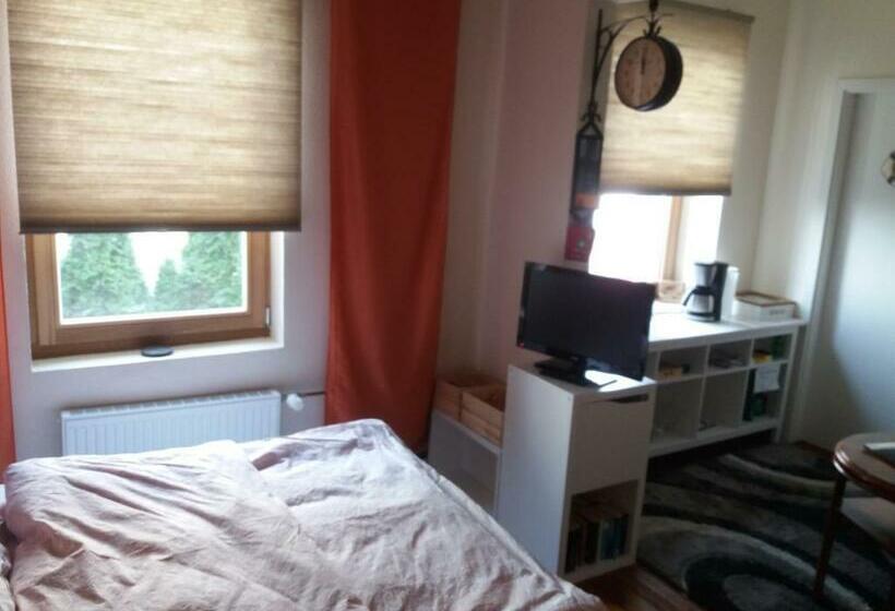 Standart Oda, Pensionszimmer Lützowzimmer