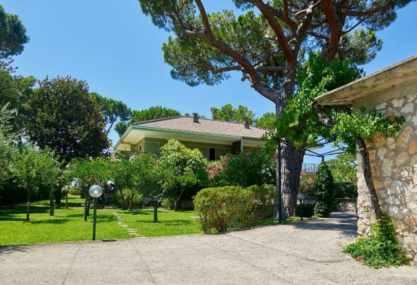 חדר סטנדרט, Villa Luisa B&b