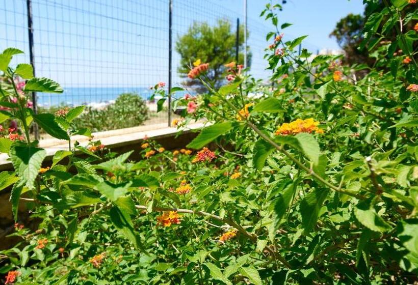 חדר סטנדרט, Villa Luisa B&b