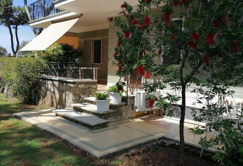 סוויטת ג'וניור עם טרסה, Villa Luisa B&b