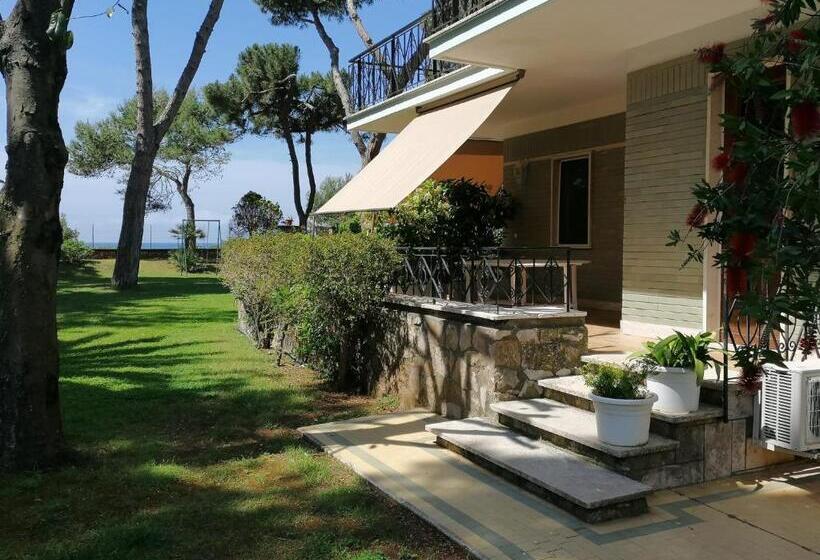 סוויטת ג'וניור עם טרסה, Villa Luisa B&b