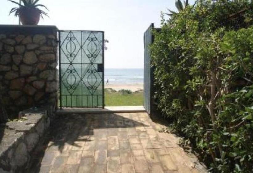 סוויטת ג'וניור עם טרסה, Villa Luisa B&b