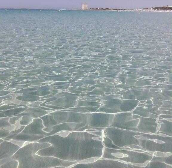 デラックスルーム, Bed Nonnonino