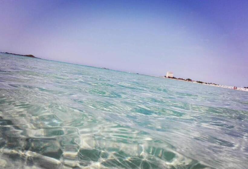 スタンダードルーム, Bed Nonnonino