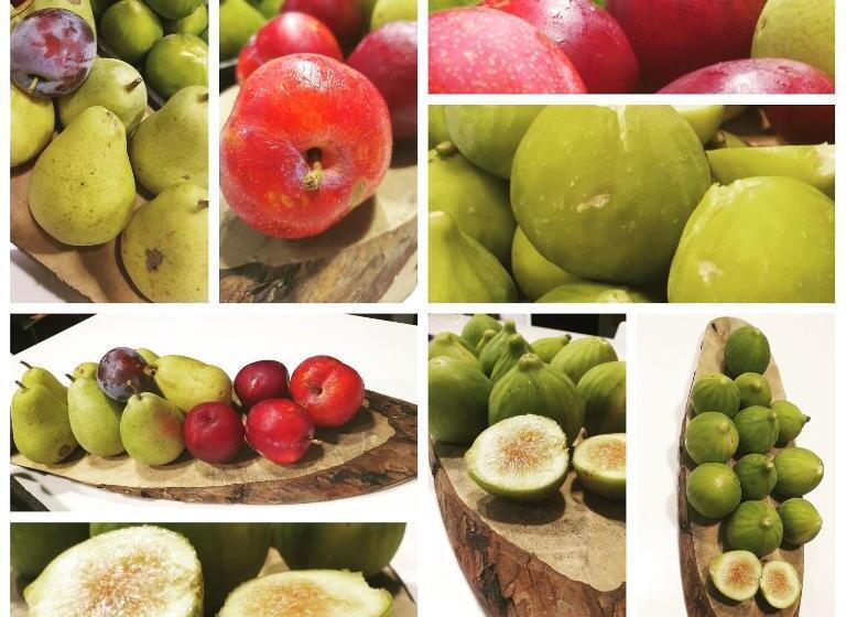 スーペリアファミリールーム, Bed Nonnonino