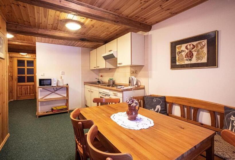 آپارتمان 2 خوابه, Penzion Statek U Rajtrů