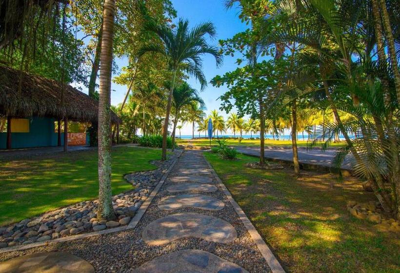 带大床的标准间, Beach Break Resort