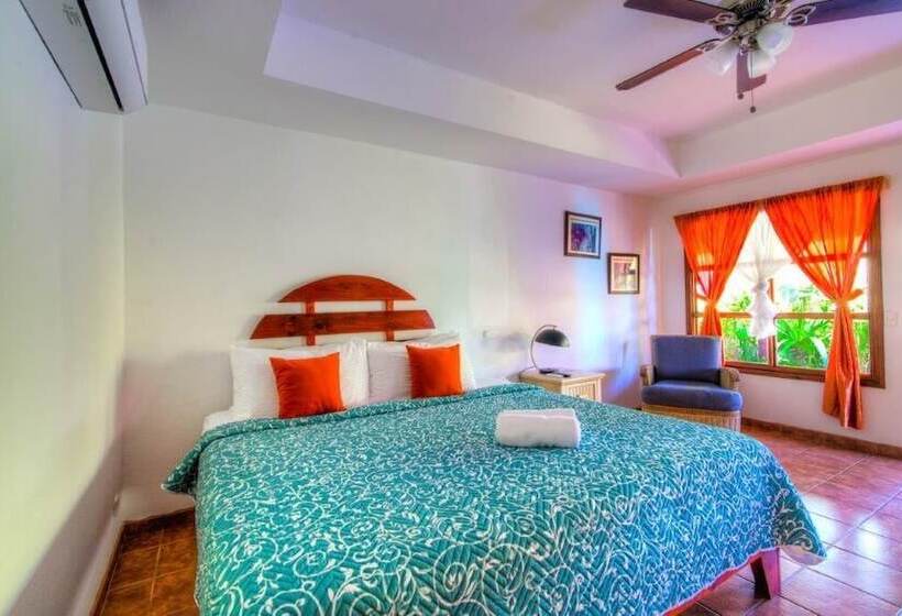 اتاق استاندارد با تخت بزرگ, Beach Break Resort