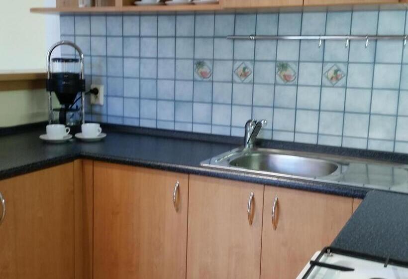 带1个卧室的公寓, Apartmány Gryf Harrachov