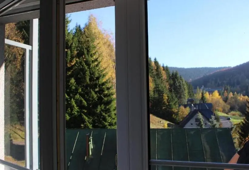 １ベッドルームアパートメント, Apartmány Gryf Harrachov
