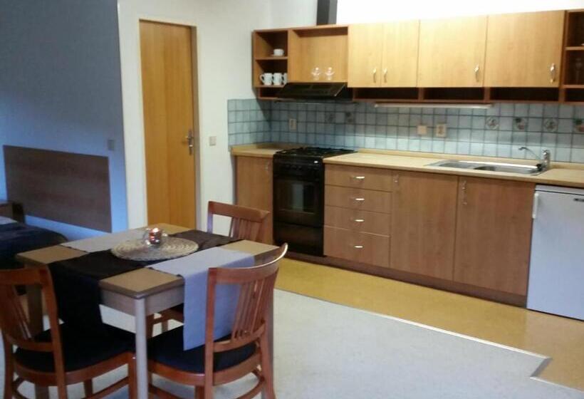 Апартаменты 1 Спальня с Видом, Apartmány Gryf Harrachov