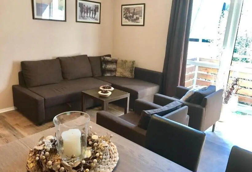 バルコニー付き１ベッドルームアパートメント, Apartmány Gryf Harrachov
