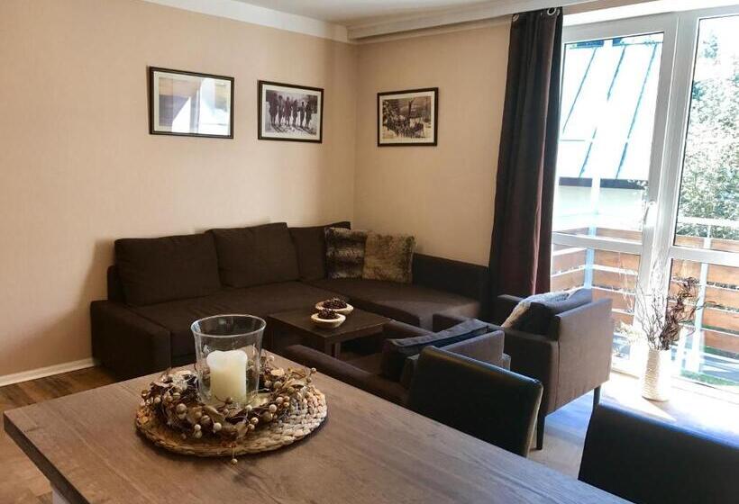 带1个卧室的带阳台的公寓, Apartmány Gryf Harrachov