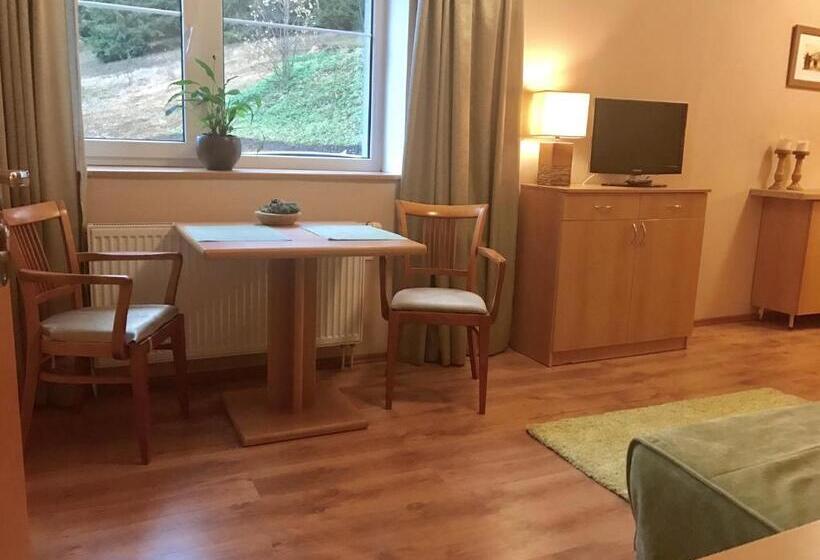 带1个卧室的公寓, Apartmány Gryf Harrachov