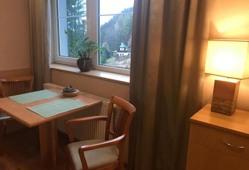 带1个卧室的公寓, Apartmány Gryf Harrachov