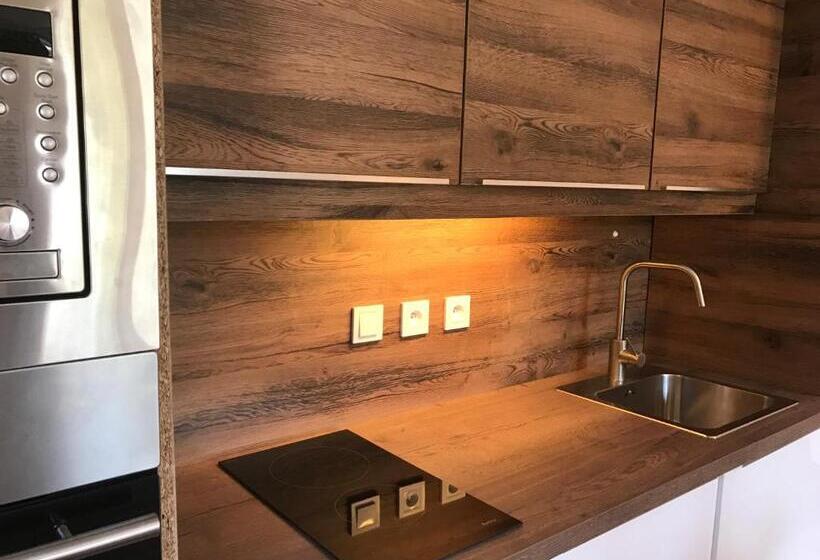 带1个卧室的带阳台的公寓, Apartmány Gryf Harrachov