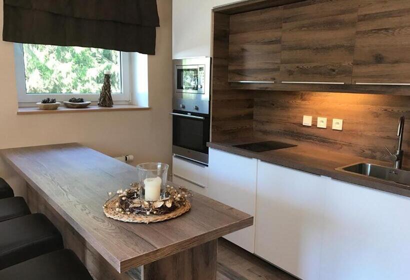 Апартаменты 1 Спальня с Балконом, Apartmány Gryf Harrachov