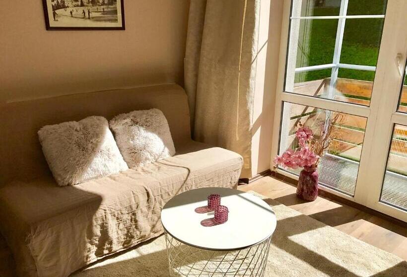 带1个卧室带观景的公寓, Apartmány Gryf Harrachov