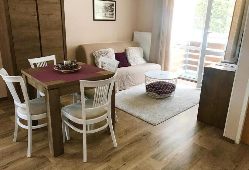 带1个卧室带观景的公寓, Apartmány Gryf Harrachov