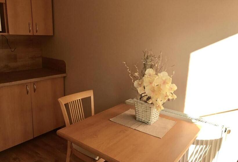 带1个卧室的带阳台的公寓, Apartmány Gryf Harrachov