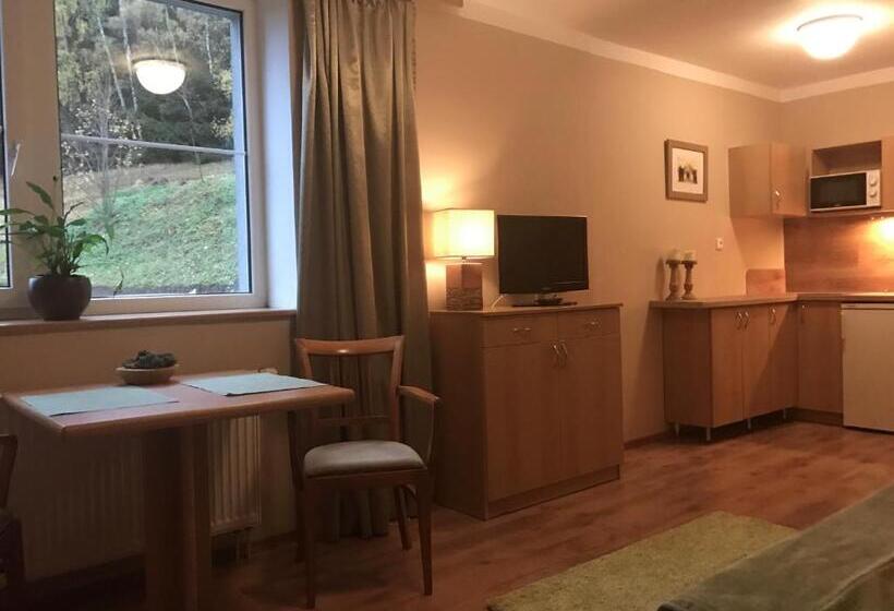 Апартаменты 1 Спальня, Apartmány Gryf Harrachov