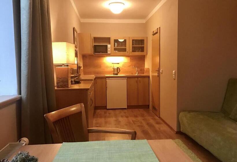 带1个卧室的公寓, Apartmány Gryf Harrachov