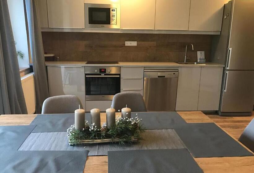 Апартаменты 1 Спальня, Apartmány Gryf Harrachov