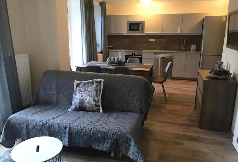 带1个卧室的公寓, Apartmány Gryf Harrachov