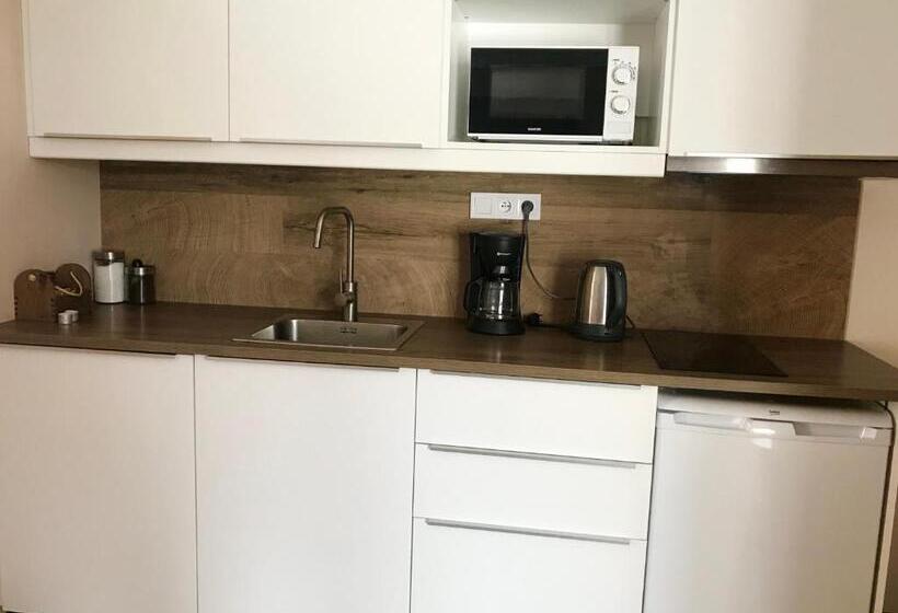 带1个卧室带观景的公寓, Apartmány Gryf Harrachov