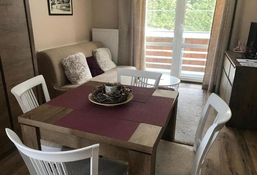 Апартаменты 1 Спальня с Видом, Apartmány Gryf Harrachov