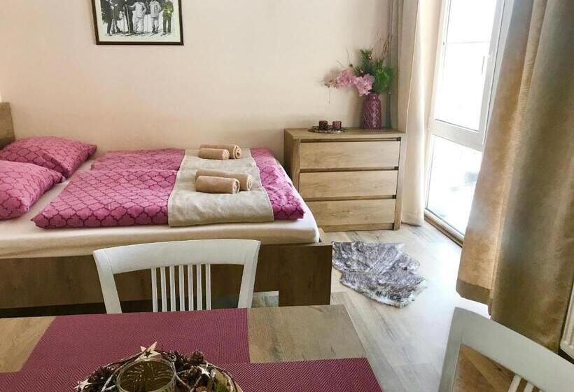 带1个卧室带观景的公寓, Apartmány Gryf Harrachov