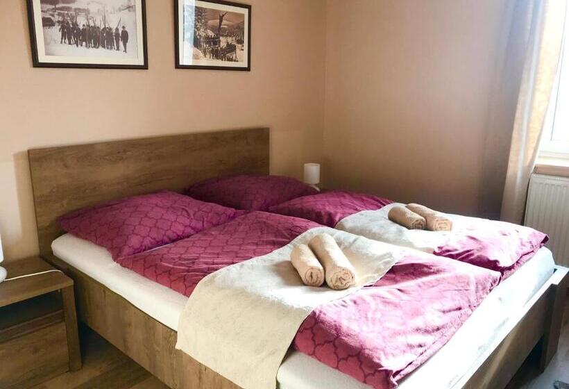 带1个卧室带观景的公寓, Apartmány Gryf Harrachov