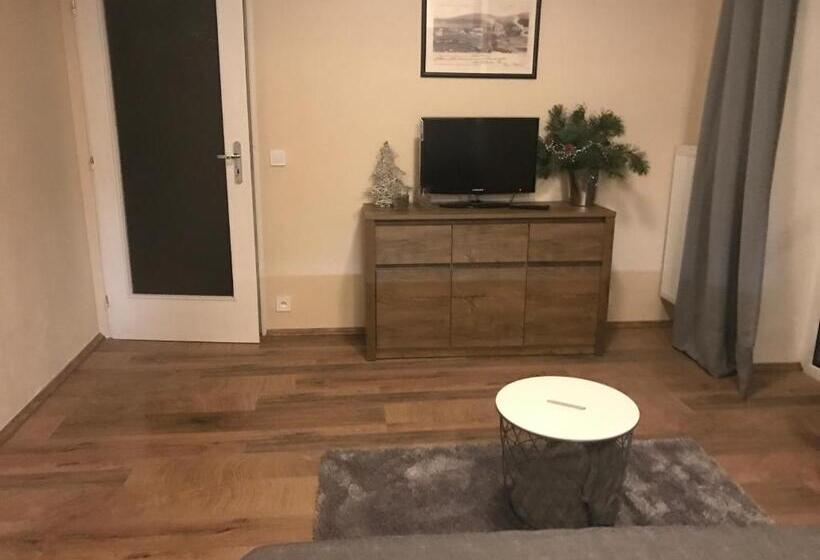 带1个卧室的公寓, Apartmány Gryf Harrachov