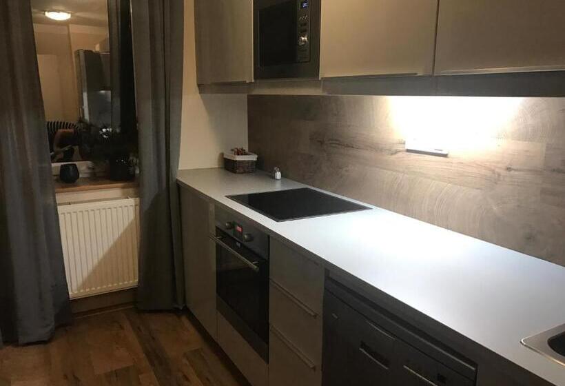 Апартаменты 1 Спальня, Apartmány Gryf Harrachov