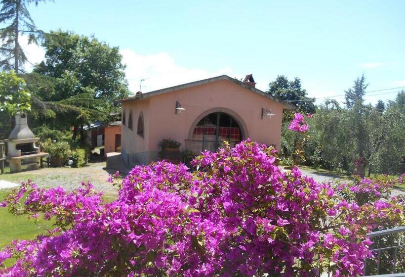 Апартаменты 1 Спальня, Agriturismo Il Loghino