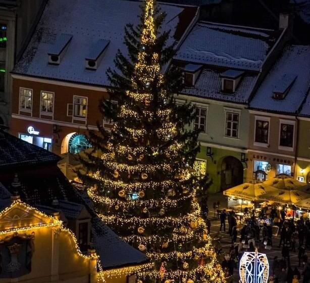 デラックスビラの１ベッドルーム, 4 Rooms Piata Sfatului