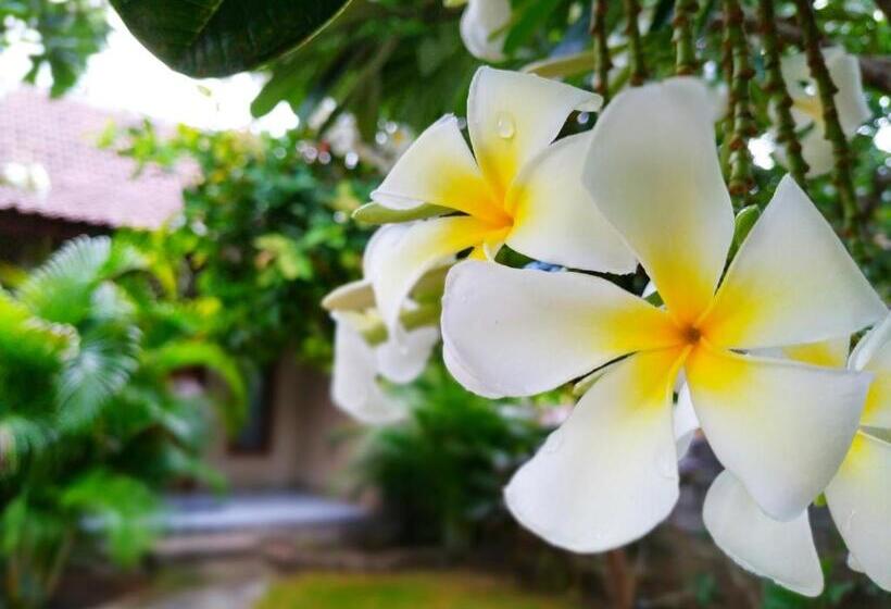 חדר סטנדרט, Angga Guest House