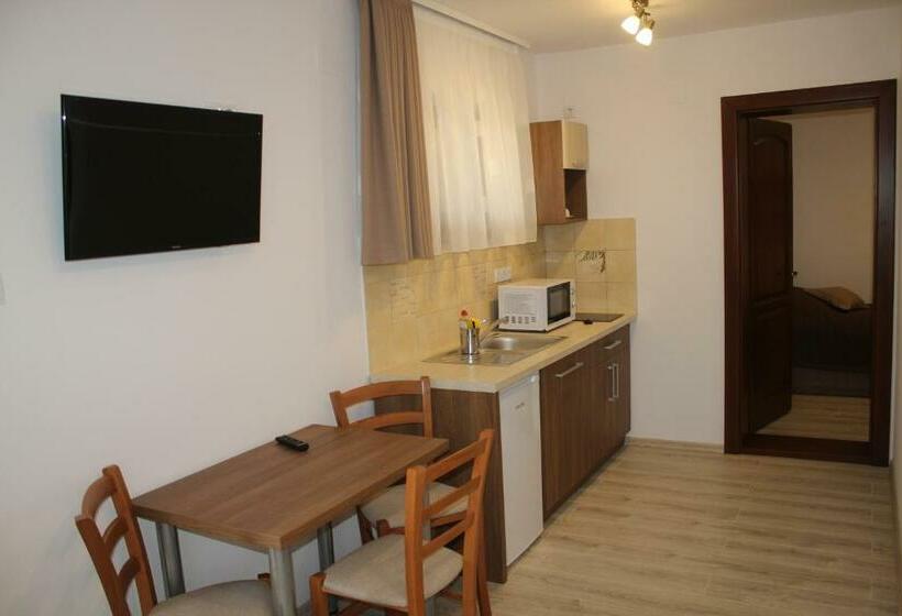 Apartament 1 Dormitori, Casa 77 Praid