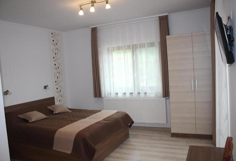Apartament Superior 1 Dormitori, Casa 77 Praid