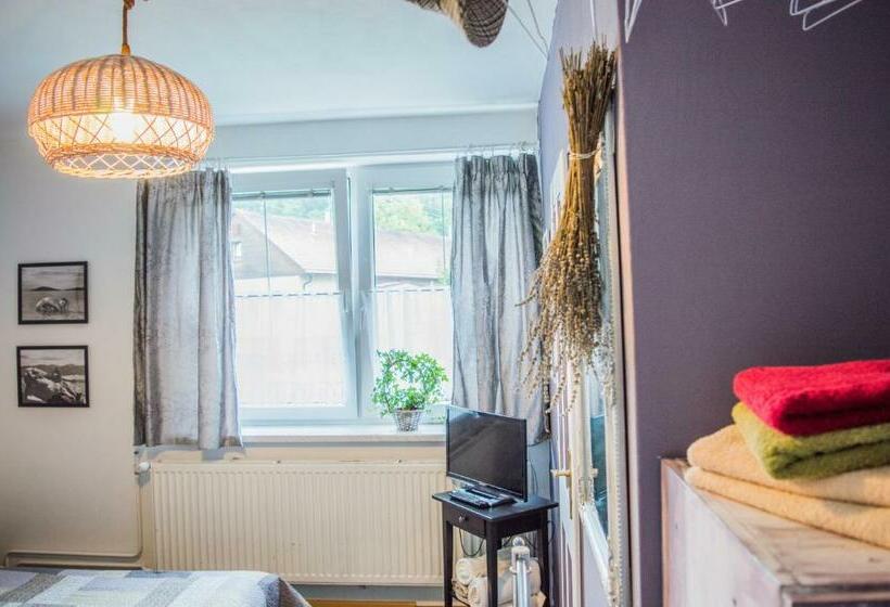 标准间, Penzion U Lupíků