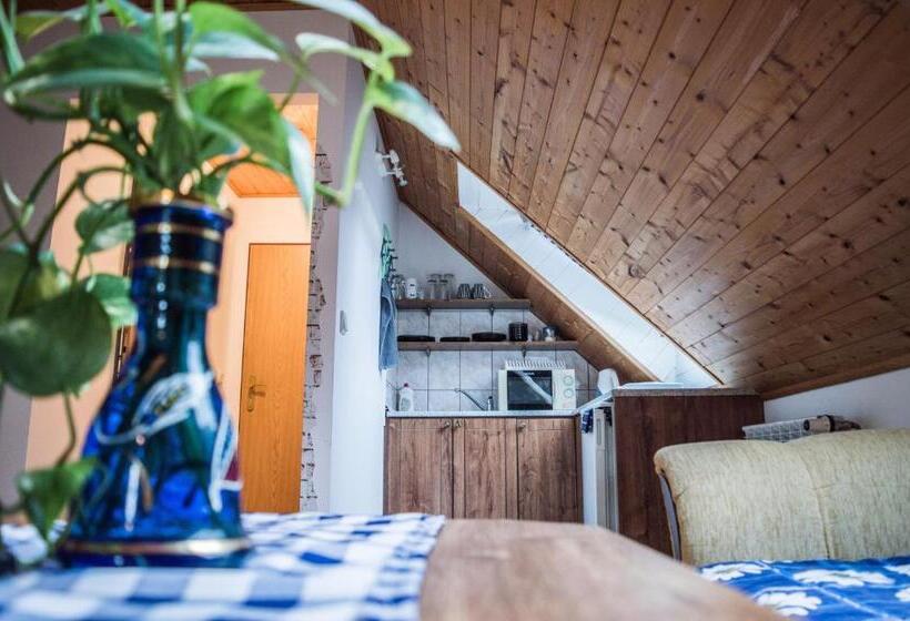 带1个卧室的公寓, Penzion U Lupíků