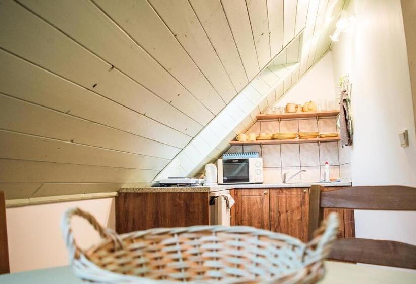 带1个卧室的公寓, Penzion U Lupíků